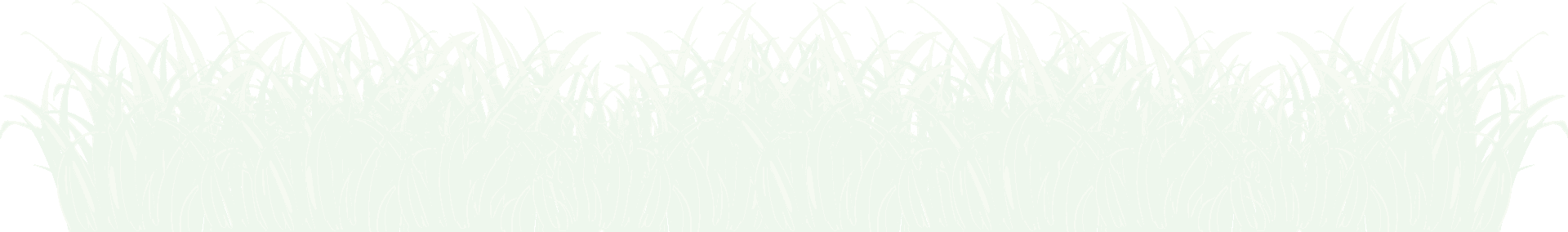 Leaf Png